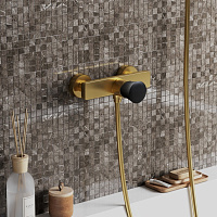 Paini Domus Смеситель для душа на 2 отверстия без излива, цвет: золото брашированное 18PJ511PZ