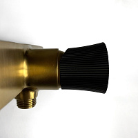 Paini Domus Смеситель для душа на 2 отверстия без излива, цвет: золото брашированное 18PJ511PZ