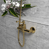 Paini Duomo Смеситель для душа на 2 отверстия без излива, цвет: золото глянцевое 88OP511