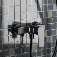 Paini Viva Style Смеситель для душа на 2 отверстия без излива, цвет: черный матовый P4YO511