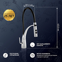 Paini Barolo Смеситель для кухни с гибким изливом, высота излива 18,6 см, цвет: черный матовый A9CR557LMKM