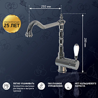 Paini Cox Смеситель для кухни с поворотным изливом, высота излива 22,1 см, цвет: хром 78CR5881ANTKM