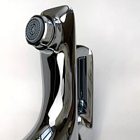 Paini Garda Смеситель для раковины, с донным клапаном, высота излива 8,8 см, цвет: хром 76CR211