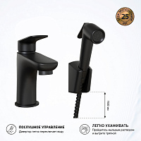 Paini Laguna Смеситель для раковины с душевым набором - ручной душ, шланг, цвет: черный матовый LAYO205/574