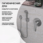 Paini Forza Гигиенический душ со шланговым подключением, шланг 100 см без смесителя, цвет: хром 53CR174KITABS