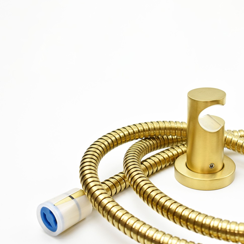 Paini Держатель для ручного душа фиксированный, цвет: золото брашированное 53PJ186TT