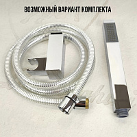 Paini Quadra Душевая лейка, 1 вид струи, латунь, цвет: хром 53CR155AO