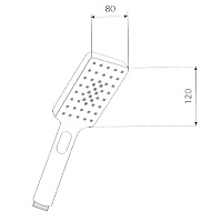 Paini Ravenna Душевая лейка, 1 режим, латунь, цвет: хром RVCR155