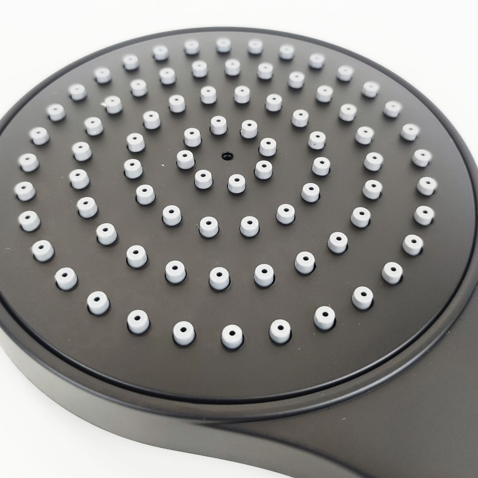 Paini Torino Душевая лейка, 1 режим, латунь, цвет: черный матовый TRYO155