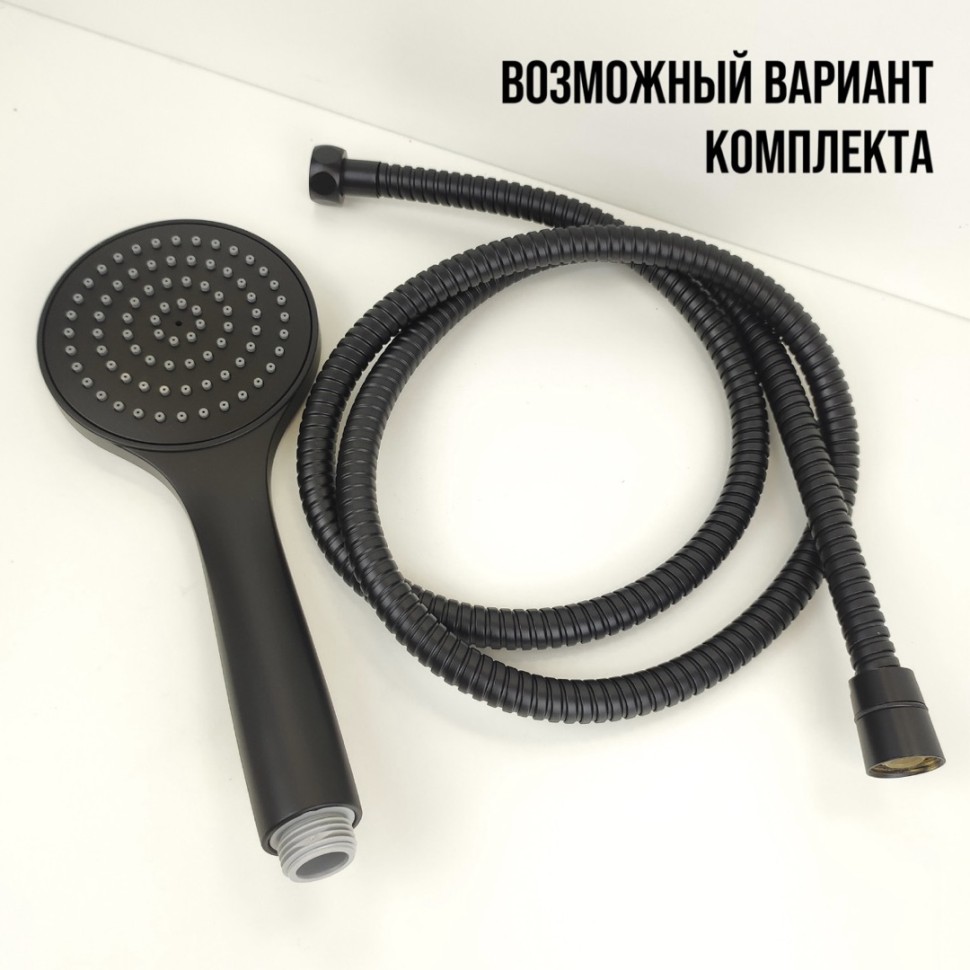 Paini Torino Душевая лейка, 1 режим, латунь, цвет: черный матовый TRYO155