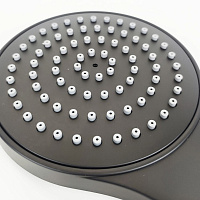 Paini Torino Душевая лейка, 1 режим, латунь, цвет: черный матовый TRYO155