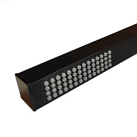 Paini Душевая лейка, 1 режим, латунь, цвет: черный брашированный 53PZ155QQ