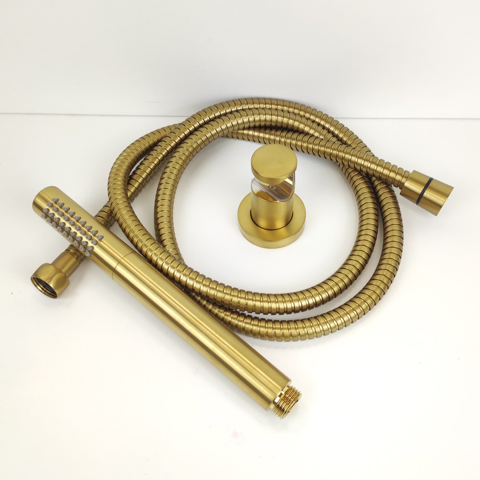 Paini Душевая лейка, 1 режим, латунь, цвет: золото брашированное 53PJ155TT