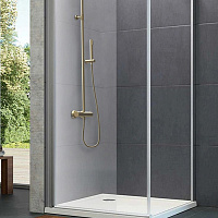 Paini Душевая лейка, 1 режим, латунь, цвет: золото брашированное 53PJ155TT