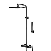 Paini Dax-r-dax Душевая стойка: термостат, ручной душ, шланг, верхний душ, цвет: черный браш 84PZ689TH