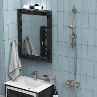 Paini Verona Душевая штанга 70 см, цвет: никель брашированный 99PW124P1