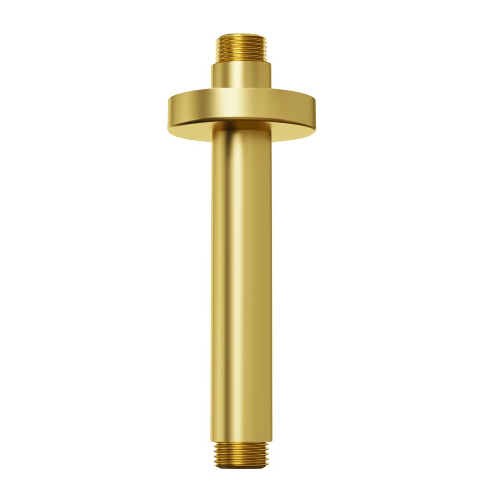 Paini Кронштейн потолочный, 20 см, цвет: золото брашированное 50PJ744T620BIMT