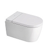 Duravit Starck 1 Унитаз подвесной 37.5x57.5 см безободковый с крышкой и биде, цвет: белый глянцевый 650002012004300 (2510092000+612001012000310)