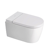 Duravit Starck 1 Унитаз подвесной безободковый, крышка-сиденье в комплекте, 37,8x57,5см, цвет: белый 650002012004300 (2510092000+612001012000310)