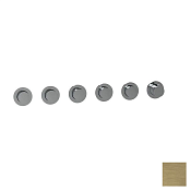 Almar Modular Round Термостат для душа, внешняя часть на 5 потребителей, цвет: brushed high brass E180441.HB