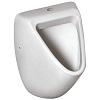 Ideal Standard Ecco-Eurovit Писсуар подвесной, цвет: euro white K553901