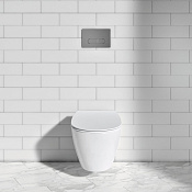 Ideal Standard Prosys Oleas Панель смыва, 2 режима, пластик, цвет: chrome R0115AA