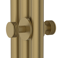 Сунержа Каньон Вешалка полотенцесушителя двойная, цвет: золотой шёлк матовый 32-2010-0004