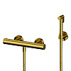 Whitecross Y Гигиенический душ с термостатом, шланг 125 см, держатель, цвет: золото глянцевое SYSYBI3GL