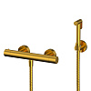 Whitecross Y Гигиенический душ с термостатом, шланг 125 см, держатель, цвет: золото брашированное SYSYBI3GLB