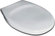 Ideal Standard Eurovit Крышка-сиденье для унитаза, с микролифтом, цвет: euro white W303001