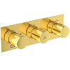 Ideal Standard Ceratherm C100 Термостат для ванны и душа на 3 потребителя, цвет: brushed gold A7664A2
