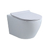 Nemo Унитаз подвесной 53x36 см безободковый, крышка микролифт, цвет: glossy white 817B-2