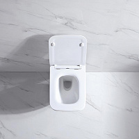 Nemo Унитаз подвесной 53x36 см безободковый, крышка микролифт, цвет: glossy white 818B
