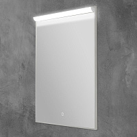 BelBagno Зеркало 60x80h см, с подсветкой и выключателем, цвет: хром глянцевый Spc-Uno-600-800-Tch