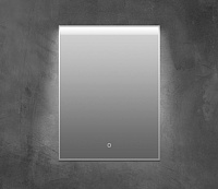 BelBagno Зеркало 50x80h см, с подсветкой и выключателем, цвет: хром глянцевый Spc-Uno-500-800-Tch