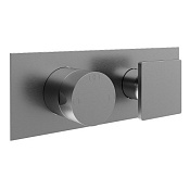 Treemme 5mm Смеситель для душа термостат. встр., 2 потребителя, внеш. часть, цвет: нержавеющая сталь RWIT28E2IS03
