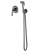 Wonzon & Woghand Steam Гигиенический душ встраиваемый, комплект, цвет: темный графит WW-88849008-BGM