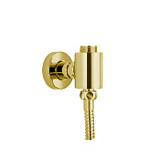 Fima Carlo Frattini Wellness Шланговое подключение 1/2х3/4 с гибким шлангом 60 см, цвет: gold F2124OR