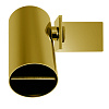 Fima Carlo Frattini Soffioni Верхний душ 8 см, 1 режим, цвет: gold F5915OR