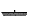 Fima Carlo Frattini Верхний душ 30х30 см, 1 режим, без кронштейна, цвет: brushed black chrome F2216/2CS