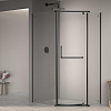 RGW Passage Душевой уголок 80х100х195h см, Easy Clean, стекло прозрачное 6 мм, цвет: черный матовый 35089180-14