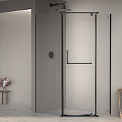 RGW Passage Душевой уголок 100х120х195h см, Easy Clean, стекло прозрачное 6 мм, цвет: черный матовый 35089102-14