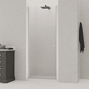 RGW Dolphin Душевая дверь в нишу, Easy Clean, 60х195h см, стекло прозрачное 6 мм, цвет: хром глянец 54930306-11