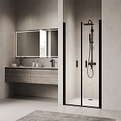 RGW Душевая дверь в нишу, Easy Clean, 120х195h см, стекло прозрачное 6 мм, цвет: черный матовый 060810412-14