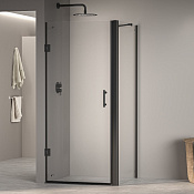 RGW Passage Душевой уголок 90х110х195h см, Easy Clean, стекло прозрачное 6 мм, цвет: черный матовый 41083691-014