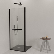 RGW Боковая стенка, Easy Clean, 100х185h см, стекло прозрачное 6 мм, цвет: черный матовый 352206100-14