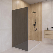 RGW Боковая стенка, Easy Clean, 90х195h см, стекло тонированное 6 мм, цвет: черный матовый 06220309-34