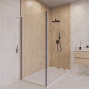 RGW Боковая стенка, Easy Clean 60х195h см, стекло прозрачное 6 мм, цвет: серый матовый 352205206-110