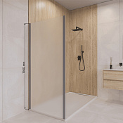 RGW Боковая стенка, Easy Clean 60х195h см, стекло матовое 6 мм, цвет: серый матовый 352205206-210