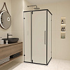 RGW Classic Душевой уголок 90х90х185h см, универ., Easy Clean, стекло матовое 6 мм, цвет: черный мат 350903599-24